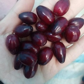 تصویر 1 از زغال اخته خشک درشت گوشتی + ممتاز